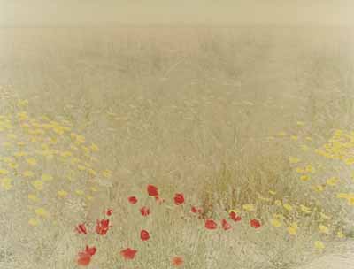 © Ori Gersht