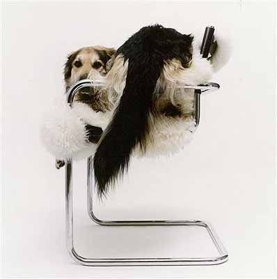 Marten Wetsema (NL *1966)
Jacob 2004
fotografie 40 x 40 cm
Galerie Kranendonk