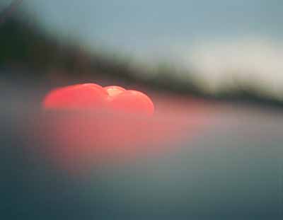 Darmstädter Tage der Fotografie Darmstädter Tage der Fotografie
