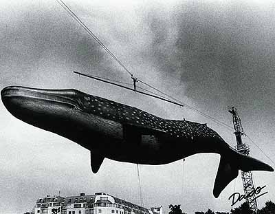© Daido Moriyama