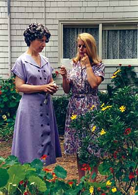 From Becoming Nancy Drew, 1996
