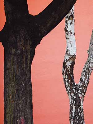 Im Garten2003/2004Piezo Pigment Print79,6 x 63,7 cm© VG Bild-Kunst, Bonn 2005