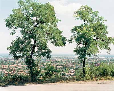 Trans Emilia - Sammlung Linea di Confine: Territoriales Erkunden der Emilia-Romagna Trans Emilia - Sammlung Linea di Confine: Territoriales Erkunden der Emilia-Romagna