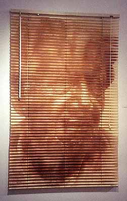 Graciela Sacco, Portrait no. 3, 2001. Heliography printed on plastic Venetian blind. Copyright the artist, courtesy of the Stephen Cohen Gallery.