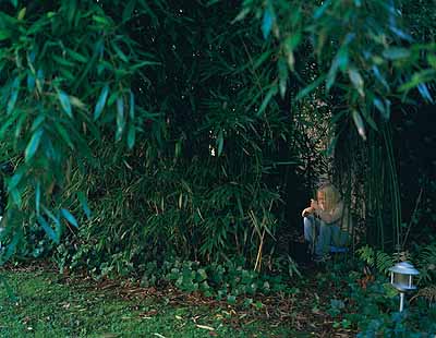 © Johanna Manke