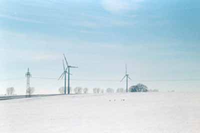 Rehe (I)2 / Chevreuls (I)2