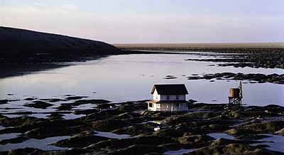 © Thomas Wrede