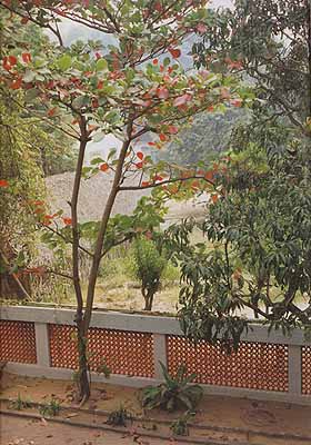 Tami-Nadu, South-India, 2001