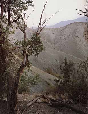 Kond, Iran, 2004