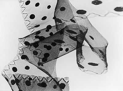 Hans Finsler: Crin brodé noir, 1941–1943 © Stiftung Moritzburg Halle/Saale