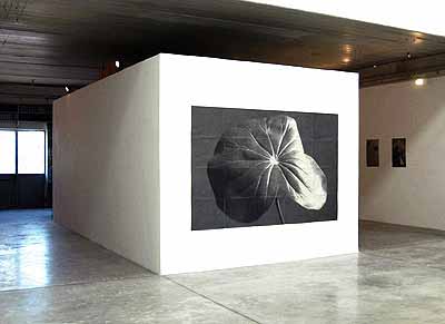 Sergio Zavattieri · installation view at Arturarte contemporanea