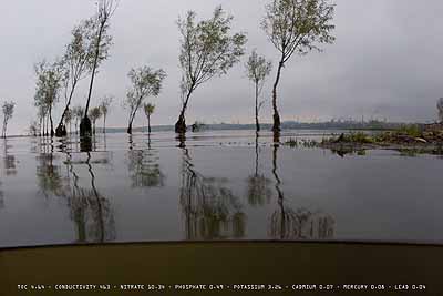 The Danube River Project: Tulcea