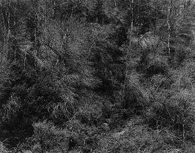 Harry Callahan Aix-en-Provence, 1957 Gelatin silver print, 9.3 x 11.8 in., size of sheet 10.6 x 13.8 in. Lot 53 / Estimate &euro; 12.000,-