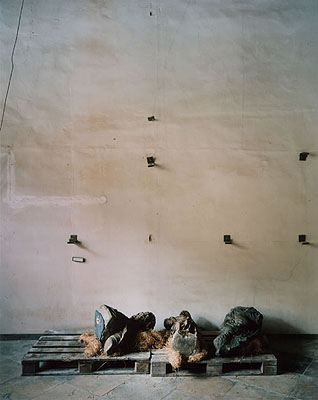 Erik Niedling STATUS #2, 2005, C-Print / Diasec