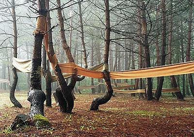 Riitta Päiväläinen OBIS, 2005 175 x 245 cm, edition 5 Digital c-print, diasec