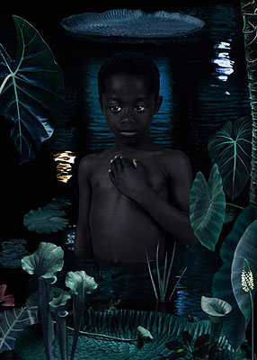 Ruud van Empel Moon 3 2006 118 x 84 cm
