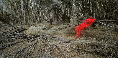 rosemary laing weather (Eden) #1, 2006, c-print, 124 x 235 cm ed. 8 © galerie conrads, duesseldorf-berlin