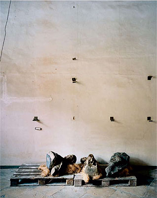 STATUS #02, 2005, C-Print / Diasec, 160 x 128,5 cm © Erik Niedling / VG Bild Kunst, Bonn