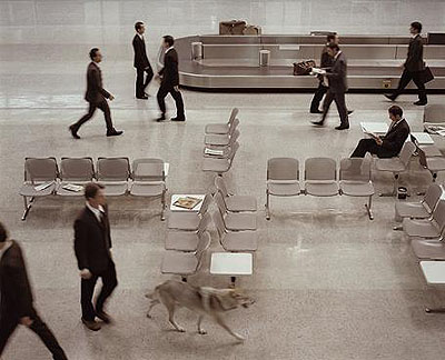 The Wolf in Tempelhof Video still from 