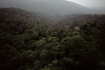 Caio Reisewitz