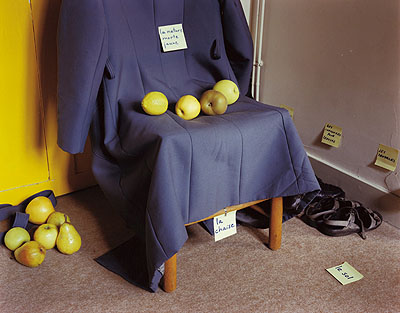 © ELINA BROTHERUS, DECISIVE DAYS, SUITES FRANÇAISES 2, LA NATURE MORTE JAUNE, 1999
