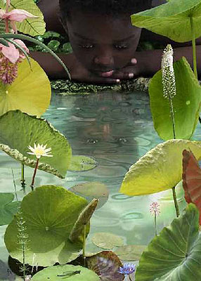 © Ruud van Empel / World 23, 2006 / cibachrome dibond plexiglass / 59 x 84 cm