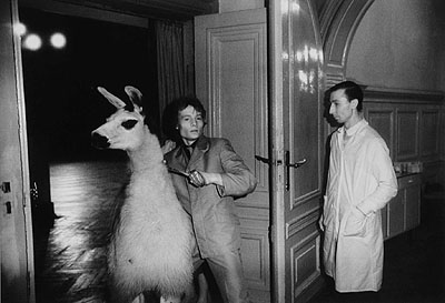 Erasmus Schoeter A Llama about to Be Guided into a Ballroom, Leipzig 1981