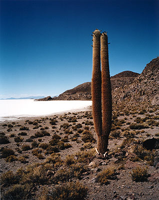 Discovery, 2006 © Scarlett Hooft Graafland