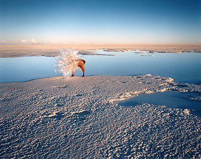Flash, 2006 © Scarlett Hooft Graafland