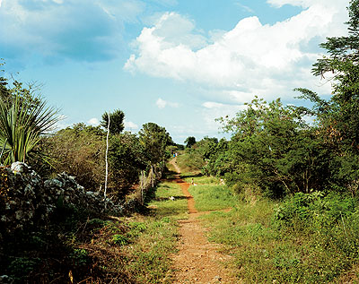 Publikation: Stephen Shore
