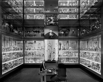 Huntarian Museum, Crystal Palace, London 2007© Matthew Pillsbury