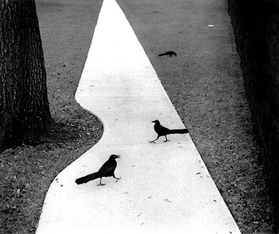 Houston, Texas 1978