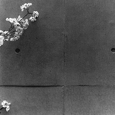 Tatsumi Japan 2006 Silver Gelatin Print 125 x 130 cm