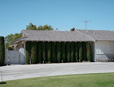 Rooftrees 2007, C-print