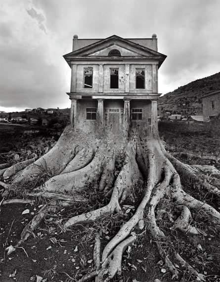 Darkroom Surrealist Darkroom Surrealist