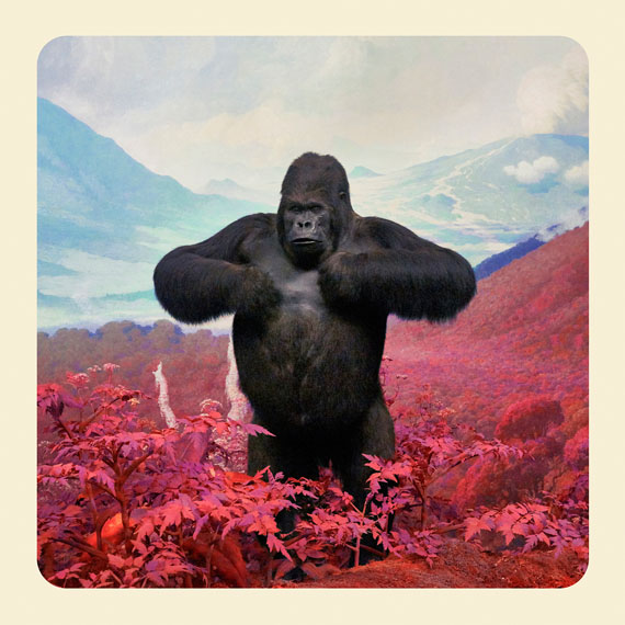 The Mountains of Kong The Mountains of Kong