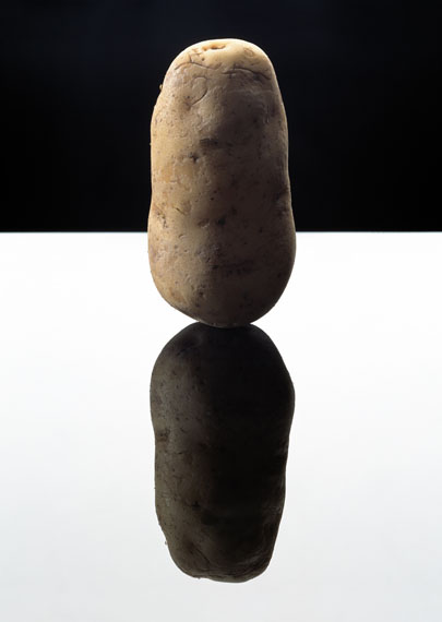 Still/Life Still/Life