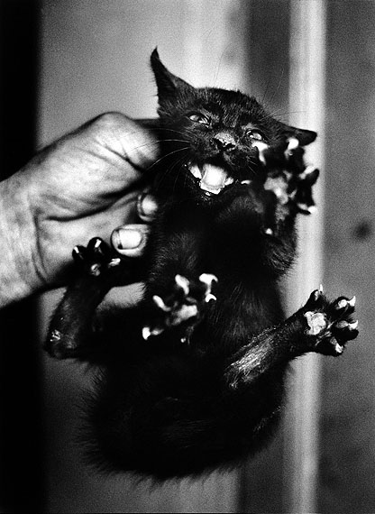 © Christer Strömholm
