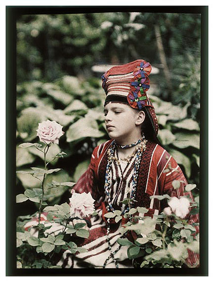 Primrose, Russian Coulour Photography Primrose, Russian Coulour Photography