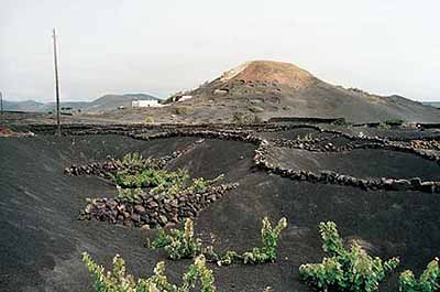 Olafur Eliasson / Lanzarote