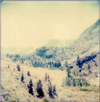 © Stefanie Schneider