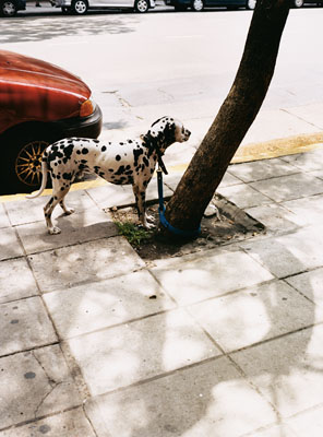© Raymon Depardon