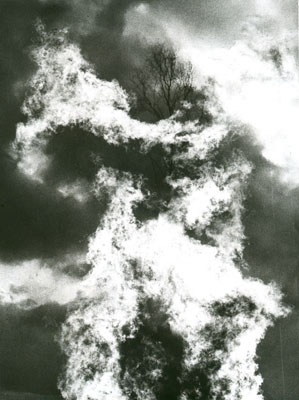 Jochen Lempert, o.T., 2007© Jochen Lempert