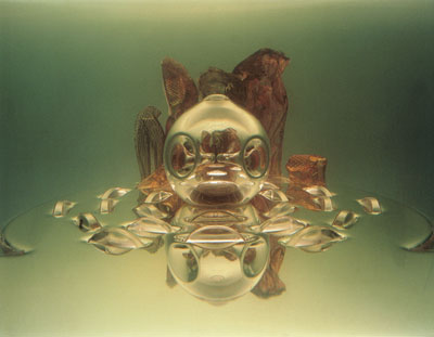 Saskia Olde WolbersKILOWATT DYNASTY2000Video6min.Voice over: Jean LeeCourtesy: Maureen Paley, London