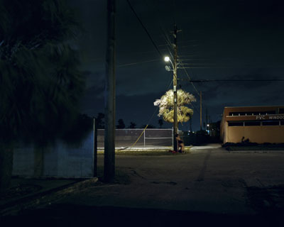 Nocturnal # 1548x 60 inch edition of 620x25 inch edition of 9 Cromogenic prints on Kodak Ultra Endura paper