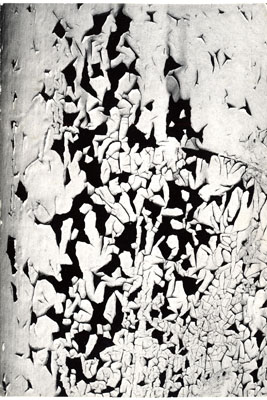 Ernst Haas 'Peeling Paint, USA' 1962 © Ernst Haas, courtesy Getty Images.