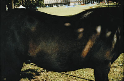 Peter Fraser, Ohne Titel, 1986, aus der Serie Towards an Absolute Zero,Pinakothek der Moderne, Siemens Arts Program, Dauerleihgabe der Siemens Aktiengesellschaft, © beim Künstler