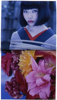 Hana Kinbaku 2008 © Nobuyoshi Araki courtesy Michael Hoppen Contemporary C-type Print 130 x 170 cmIn an edition of 1, each sold with individual transparency