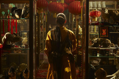 Fiona TanDisorient, 2009courtesy: the artist and Frith Street Gallery, London