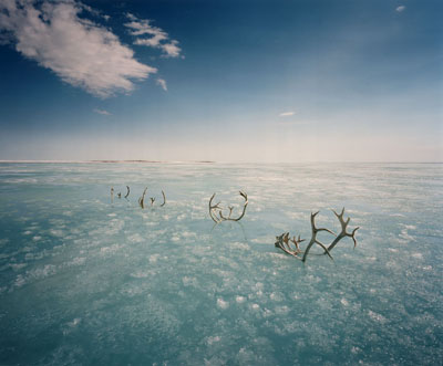 Journey 2008 © Scarlett Hooft Graafland courtesy Micheal Hoppen Contemporary